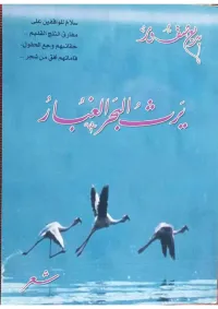 يرث البحر الغبار